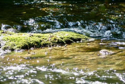 au bord de leau.